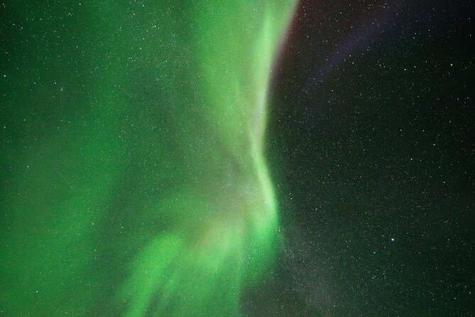 Rovaniemi: Northern Lights Hunting and Photography Tour - Is $144.57 a fair price?
