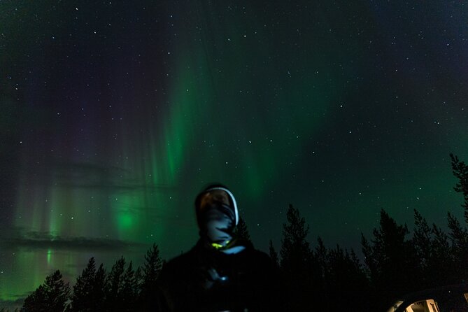 Rovaniemi: Northern lights money back tour - How the price should be judged