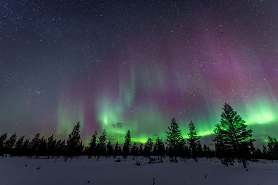 Rovaniemi: Northern Lights Photo Tour | Money-Back Guarantee - Who should book this Aurora chase?
