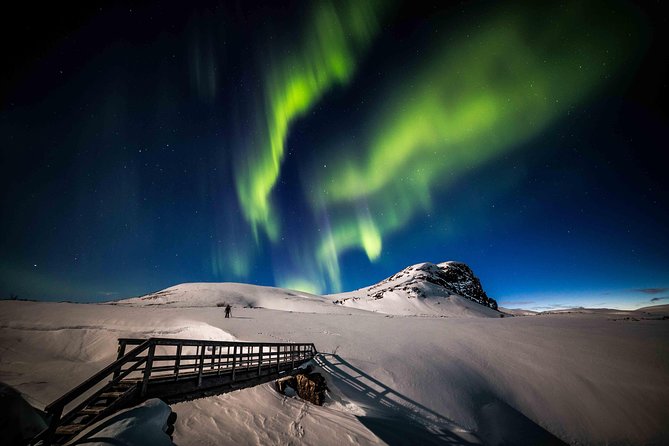 Rovaniemi Northern Lights Photography Small-Group Tour - Campfire food, hot drinks, and the human side of the evening