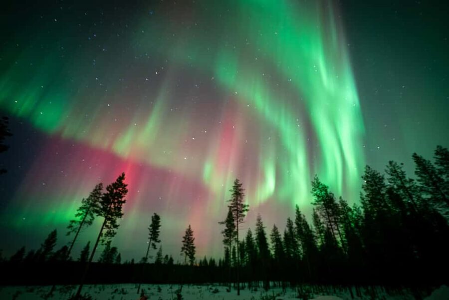 Rovaniemi: Northern Lights Photography Tour & BBQ - Is the $104 price fair?