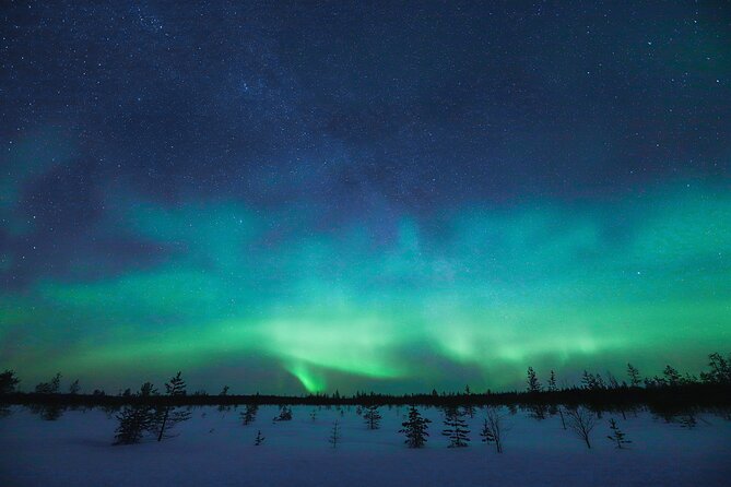 Rovaniemi: Northern Lights Pro Guaranteed - Unlimited Distance - The best part: small-group photo help
