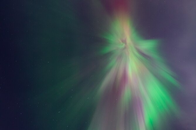 Rovaniemi: Northern Lights Pro Guaranteed - Unlimited (PRIVATE) - Campfire food and drinks under the night sky