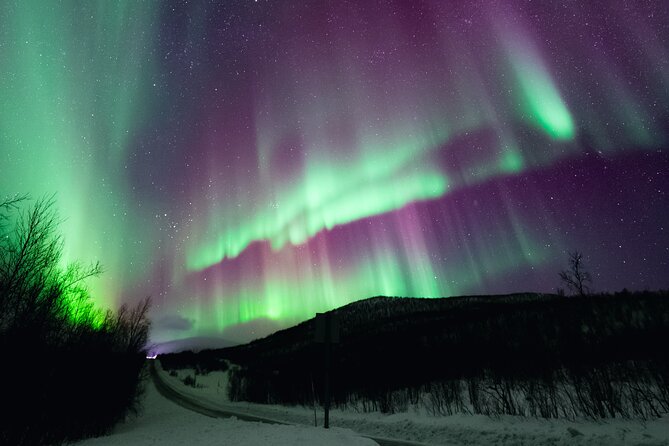 Rovaniemi: Northern Lights Pro Guaranteed - Unlimited (PRIVATE) - What the flexible 4 to 10 hour evening feels like