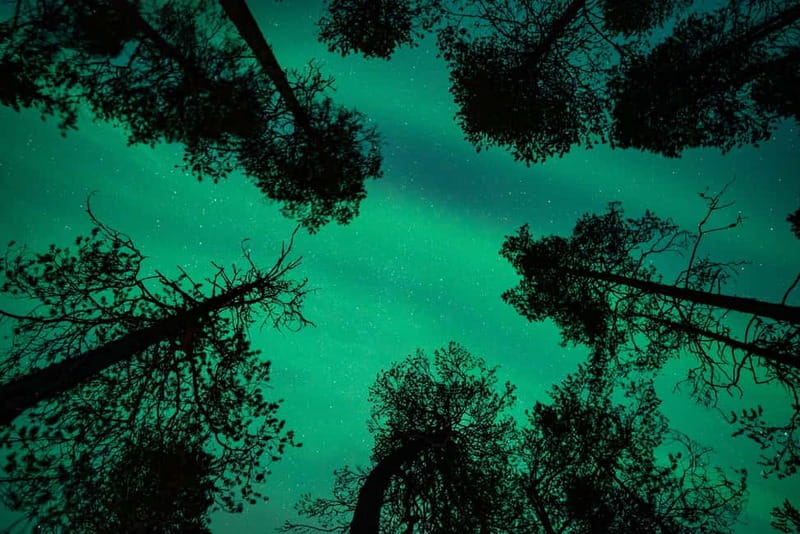 Rovaniemi: Northern Lights Quad Bike Tour - Practical details that affect your night
