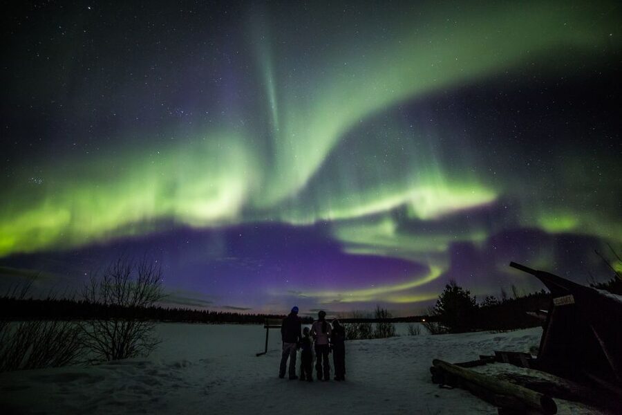 Rovaniemi: Northern Lights Sledge Ride - Key points to know before you book