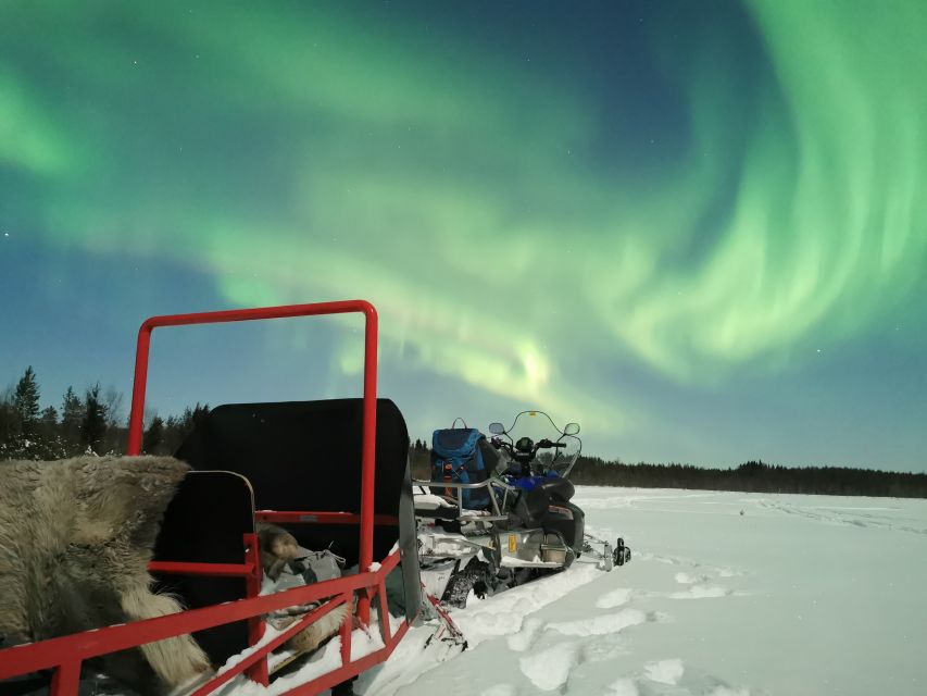 Rovaniemi: Northern Lights Sledge Ride - Who will enjoy this most