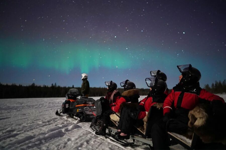 Rovaniemi: Northern Lights Sleigh Ride - Key points to know before booking