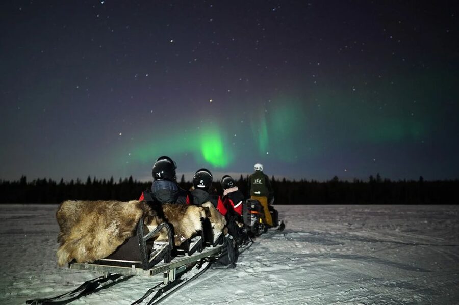 Rovaniemi: Northern Lights Sleigh Ride - Who will get the most from this tour
