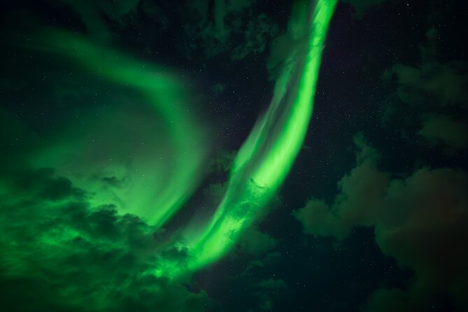 Rovaniemi: Northern Lights Small Group Money-Back Guarantee - What the night feels like at the viewpoints