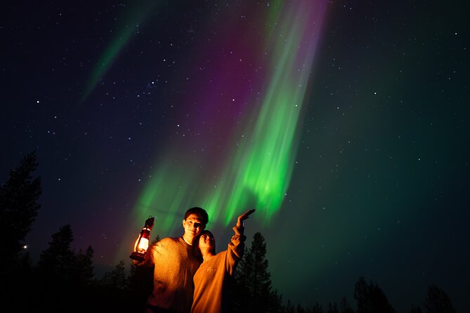 Rovaniemi: Northern Lights Small Group Money-Back Guarantee - Booking details worth handling before departure
