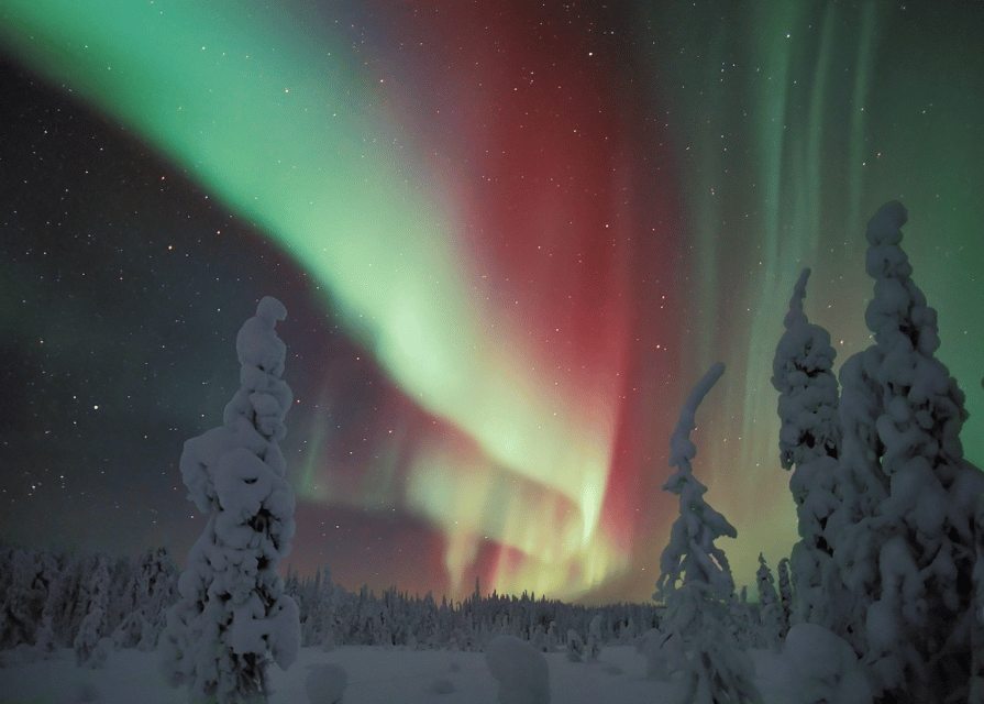 Rovaniemi: Northern Lights Snowmobile Safari with Campfire - Forest Tracks, Hills, and Frozen River Ice