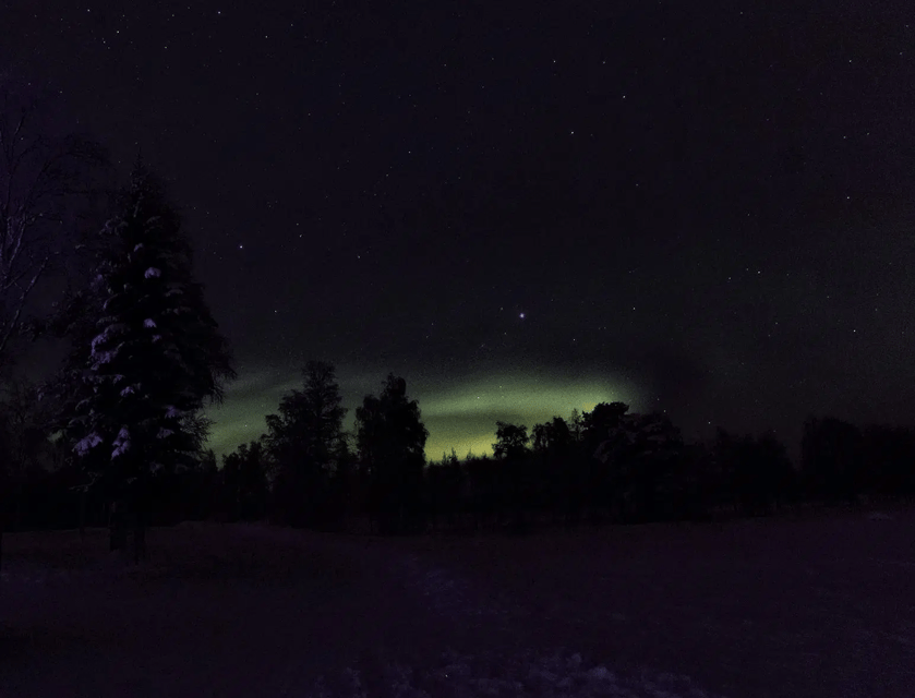Rovaniemi: Northern Lights Snowmobile Safari with Campfire - The Campfire Stop and Hot Berry Juice