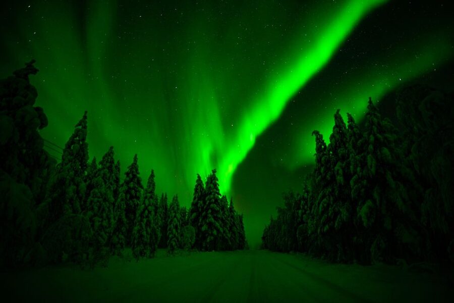 Rovaniemi: Northern Lights Snowmobile Tour - Riding into the Forest Beyond the Arctic Circle
