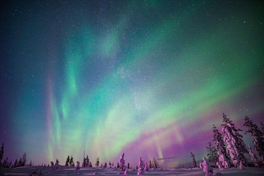 Rovaniemi: Northern Lights Snowmobile Tour - What the Four-Hour Evening Looks Like