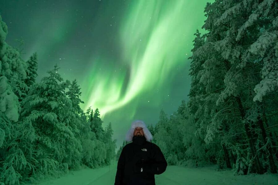 Rovaniemi: Northern Lights Tour - 100% Money Back Guarantee - The long drive is part of the search