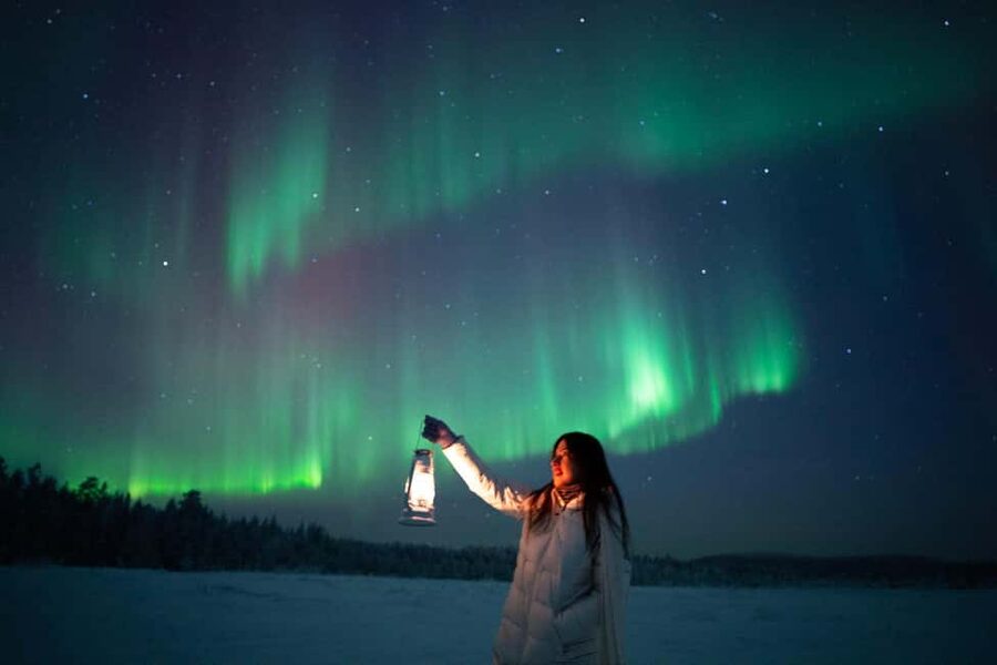 Rovaniemi: Northern Lights Tour - 100% Money Back Guarantee - What happens at the viewing stops