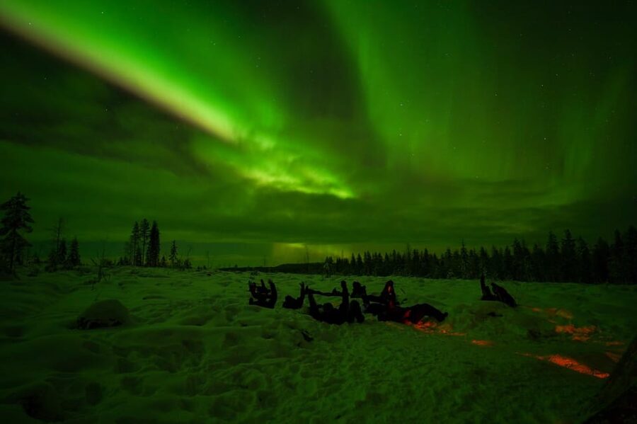 Rovaniemi: Northern Lights Tour at the Campfire - Key points at a glance