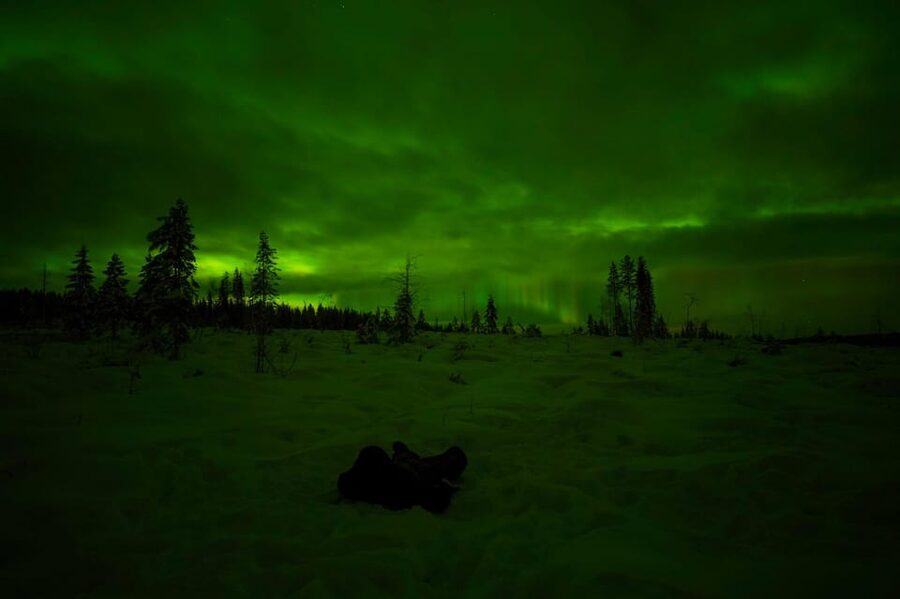 Rovaniemi: Northern Lights Tour at the Campfire - From your hotel to the forest camp