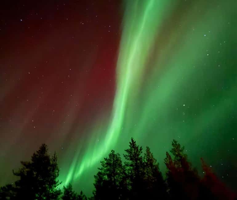 Rovaniemi: Northern Lights Tour - Aurora Viewing Guaranteed - Key points to know before you book