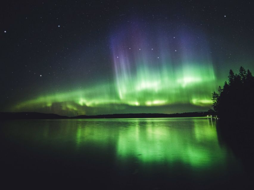Rovaniemi: Northern Lights Tour with Guaranteed Sightings - What the $164 price really buys