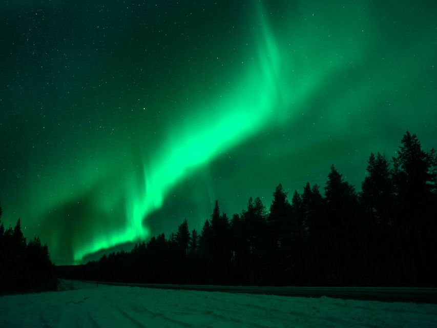 Rovaniemi: Northern Lights Tour with Guaranteed Viewings - Who should book this tour?