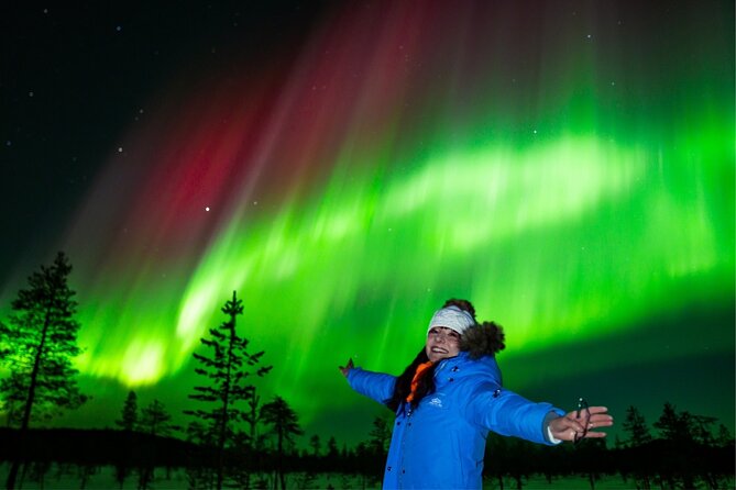 Rovaniemi: Northern Lights Tour with Guaranteed Viewings - The drive can be the main part of the evening