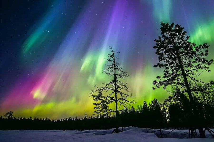 Rovaniemi: Northern Lights Trip with Arctic Sauna & Jacuzzi - Should you book this Arctic sauna outing?