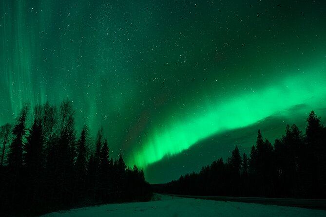 Rovaniemi: Private Aurora Tour with Guaranteed Sightings - What the single stop really means