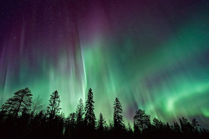 Rovaniemi: Private Aurora Tour with Guaranteed Sightings - Should you book this Rovaniemi Aurora tour?