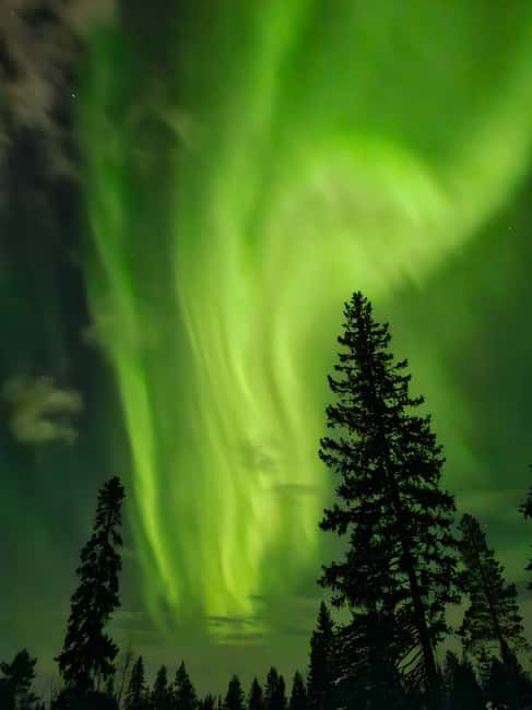 Rovaniemi: Private Self-drive husky sledding Aurora tour - Key points to know before you book