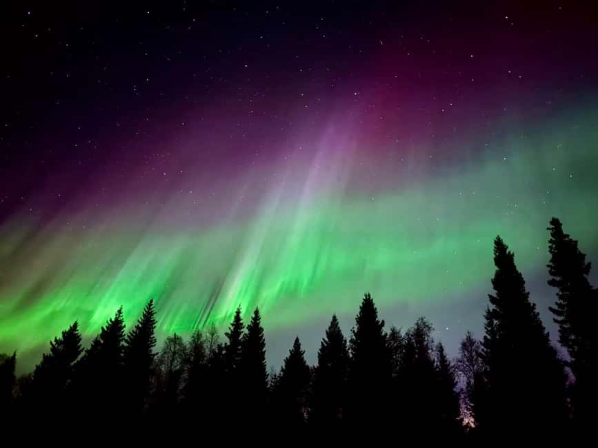 Rovaniemi: Santa's Reindeer and Husky Safari with Aurora BBQ - The evening aurora search has two chances, not two guarantees
