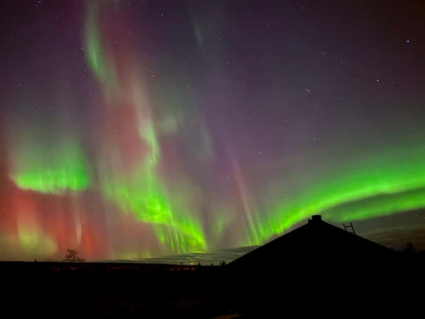 Rovaniemi: Santa's Reindeer and Husky Safari with Aurora BBQ - What the $281 price really buys you