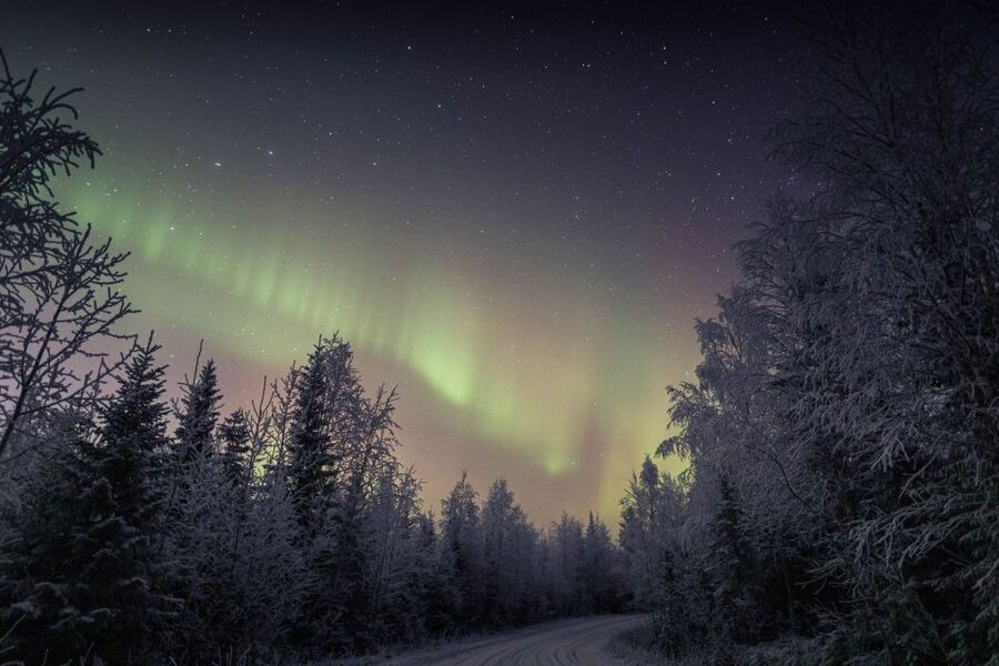 Rovaniemi: Sauna & Ice Swimming Tour with Dinner and Aurora - Adding the Northern Lights to the night