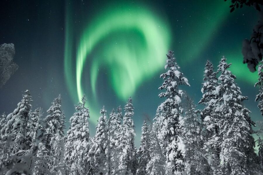 Rovaniemi: Search for Northern Lights Snowmobiling Trip - Practical tips for a smoother evening