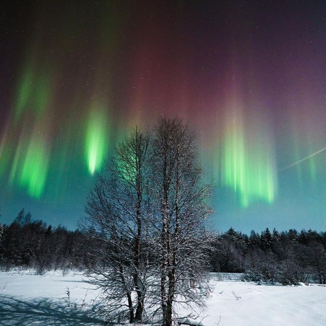 Rovaniemi: Small Group Aurora Hunt-full money back guarantee - Photos, camera help, and the memory you take home