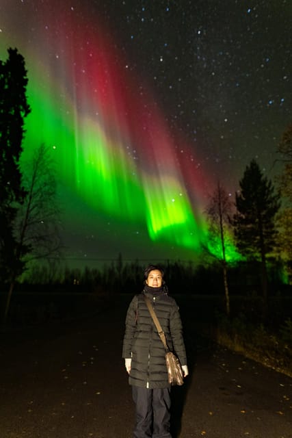 Rovaniemi: Small Group Northern Lights Guaranteed Sightings - The drive north and the value of changing locations