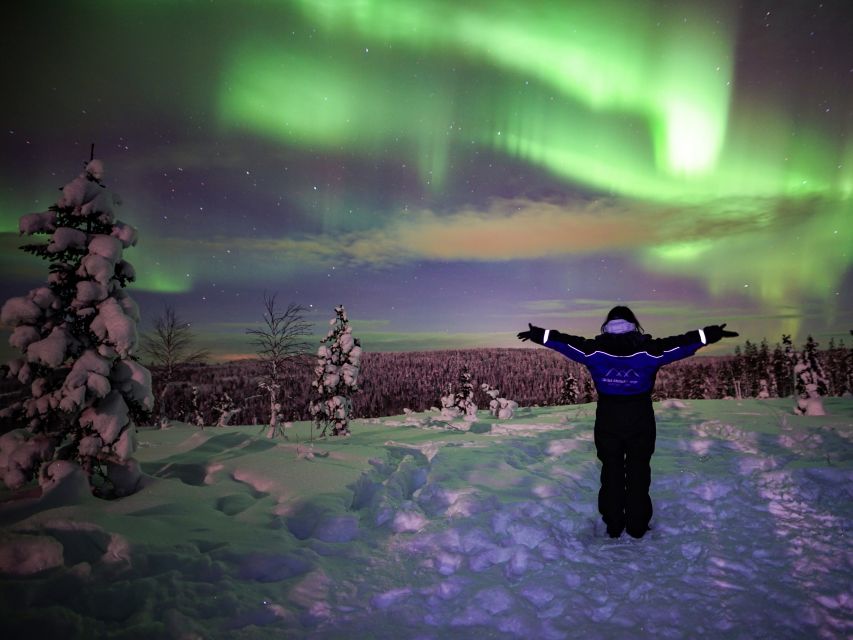 Rovaniemi: Small-Group Northern Lights Wilderness Tour - Fire building, sausages, and hot chocolate
