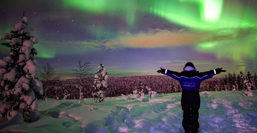 Rovaniemi: Small-Group Northern Lights Wilderness Tour - Photos that are better than most phone shots