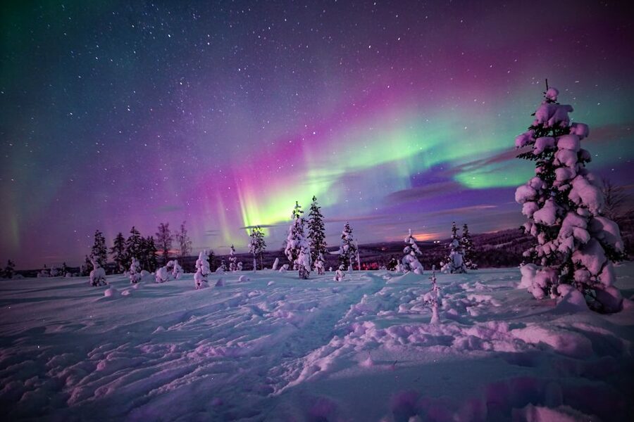 Rovaniemi: Small-Group Northern Lights Wilderness Tour - What the $136 price includes