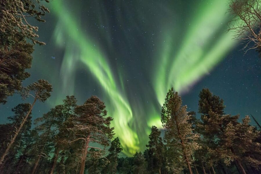 Rovaniemi: Snowy Forest Night Hike with Northern Lights - The watchtower stop and the warm drink