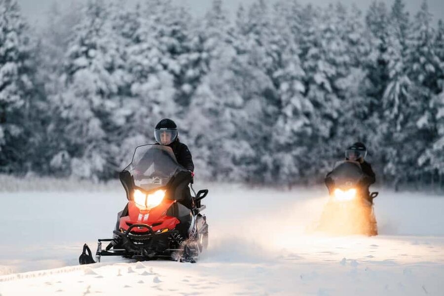 Rovaniemi Winter Activities & Northern Lights! - Meeting the reindeer and trying a Lappish lasso