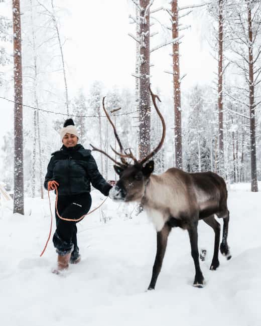 Rovaniemi Winter Activities & Northern Lights! - Optional snowmobiles, sauna, and ice swimming