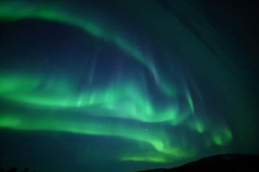 Saariselkä: Aurora Hunting & Reindeer Wilderness Experience - Sausages and berry juice beside the open fire