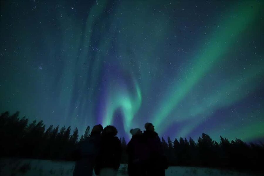 Saariselkä: Aurora Hunting & Reindeer Wilderness Experience - Who should book this experience