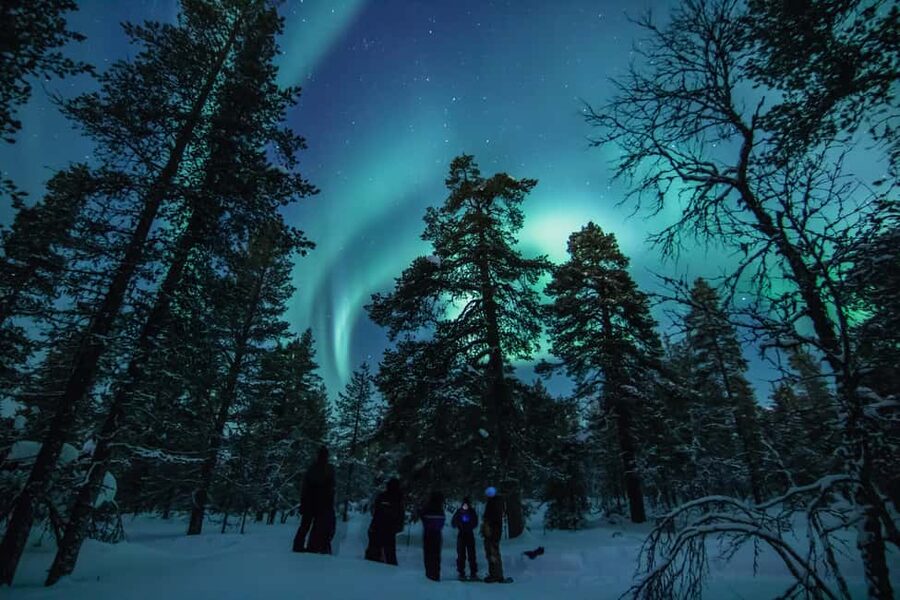 Saariselkä: Aurora Hunting & Reindeer Wilderness Experience - The practical verdict for Saariselkä