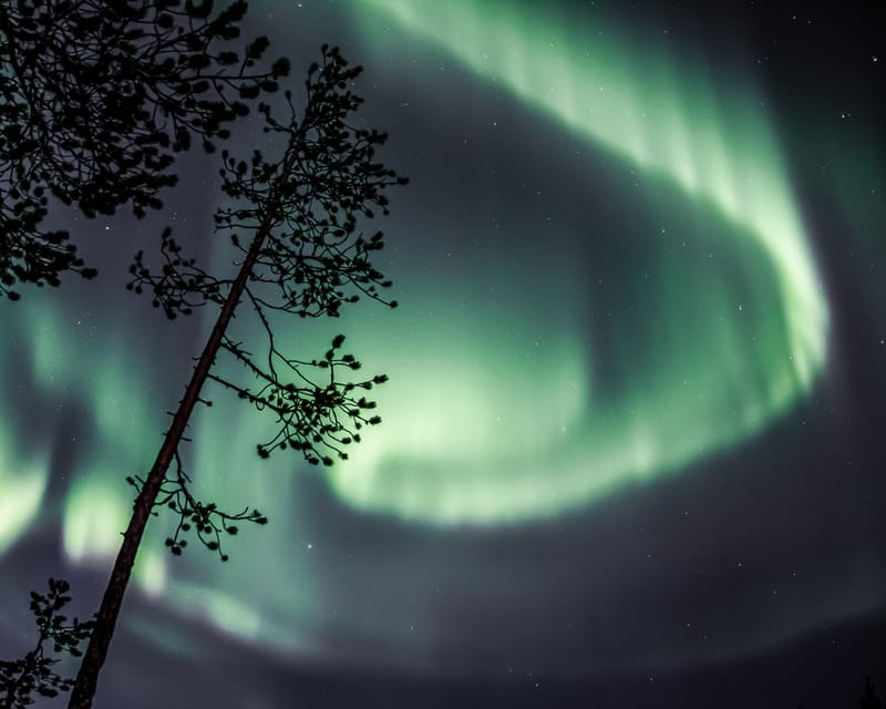 Saariselkä: Aurora Photo Tour by Car with Transfer & Drinks - Who will enjoy this tour most?