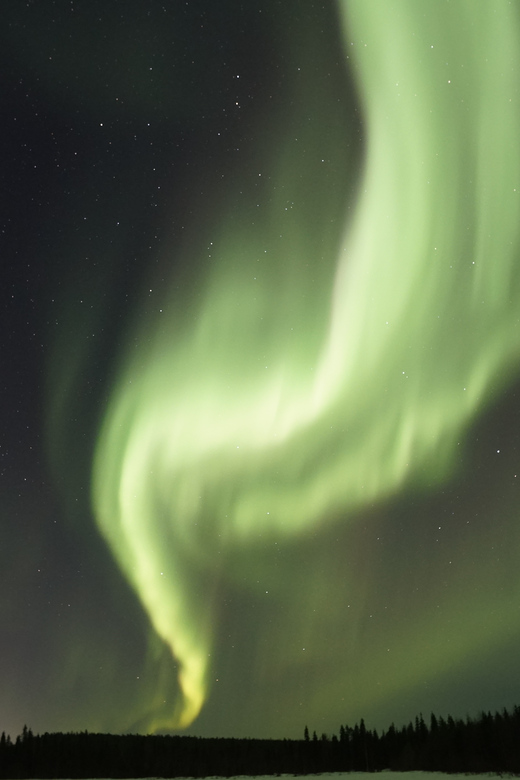 Saariselkä: Aurora Photo Tour by Car with Transfer & Drinks - Practical booking advice for a better night