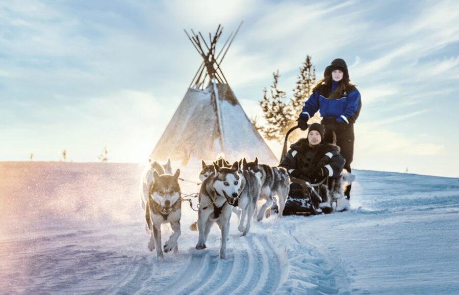 Saariselkä: Husky Safari with Aurora Borealis Hunt - A Night Ride Through Saariselkä’s Pine Forest