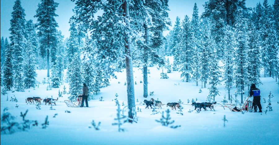 Saariselkä: Husky Safari with Aurora Borealis Hunt - Pickup From Saariselkä Hotels